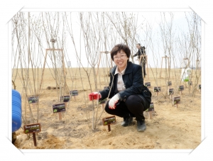 임진각 평화누리 행복나무심기 행사4(2013. 4. 19) 3번째 파일